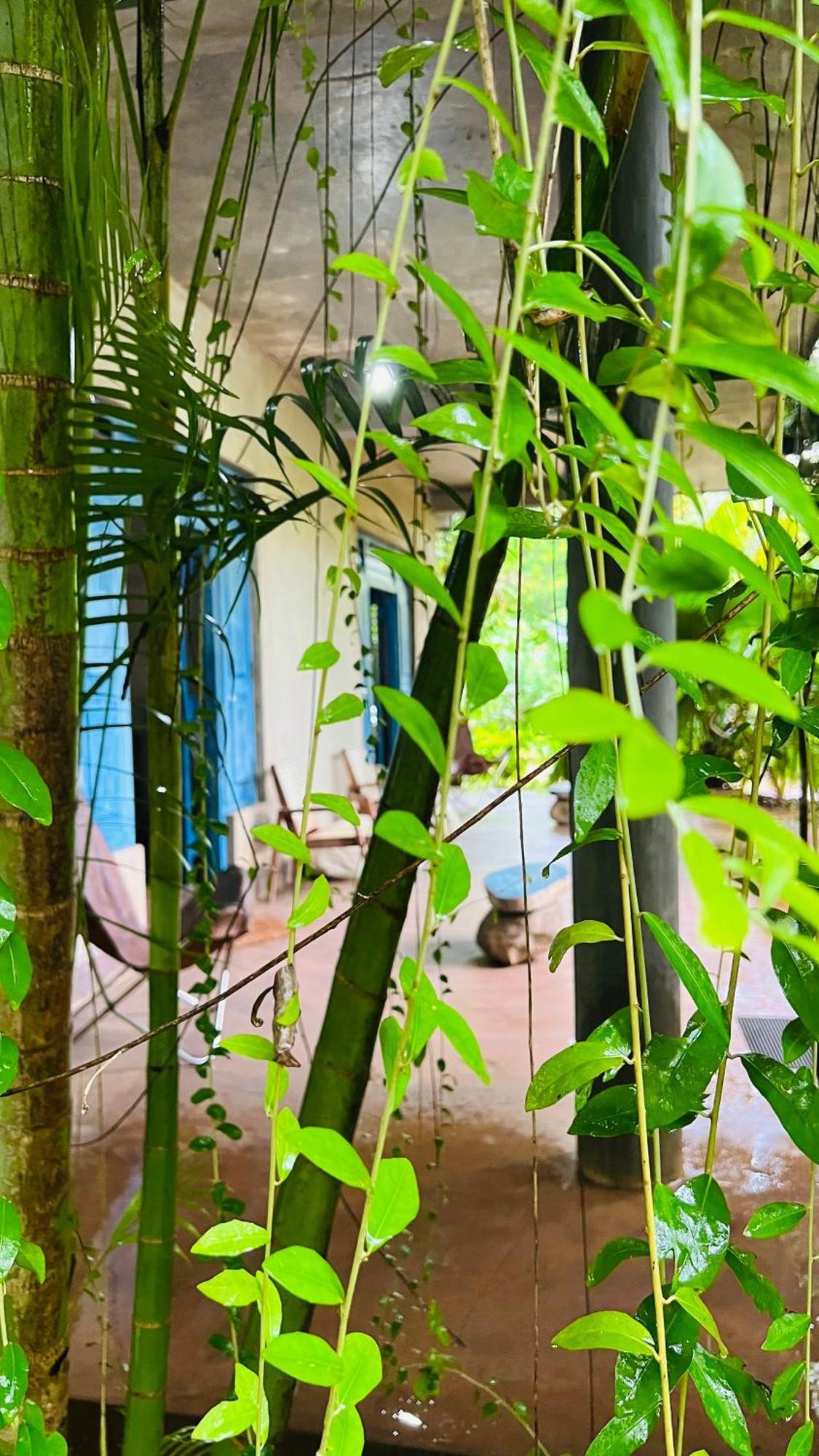 Kataragama Homestay Kültér fotó