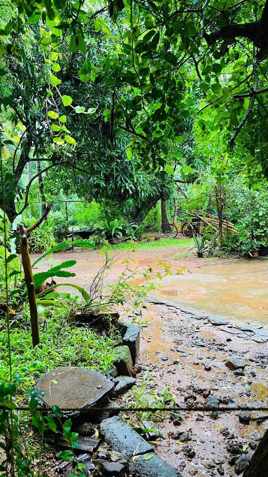 Kataragama Homestay Kültér fotó
