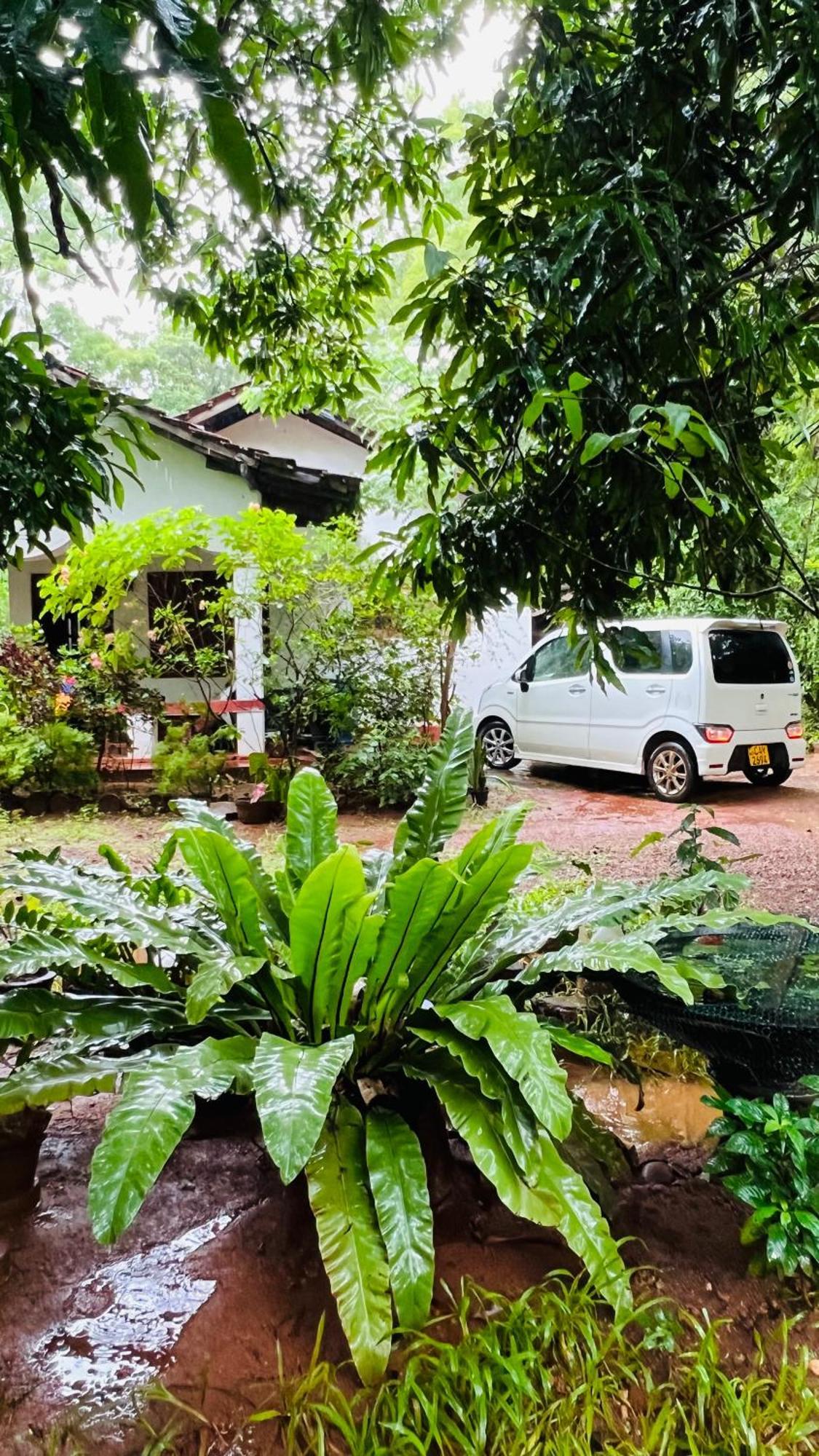 Kataragama Homestay Kültér fotó