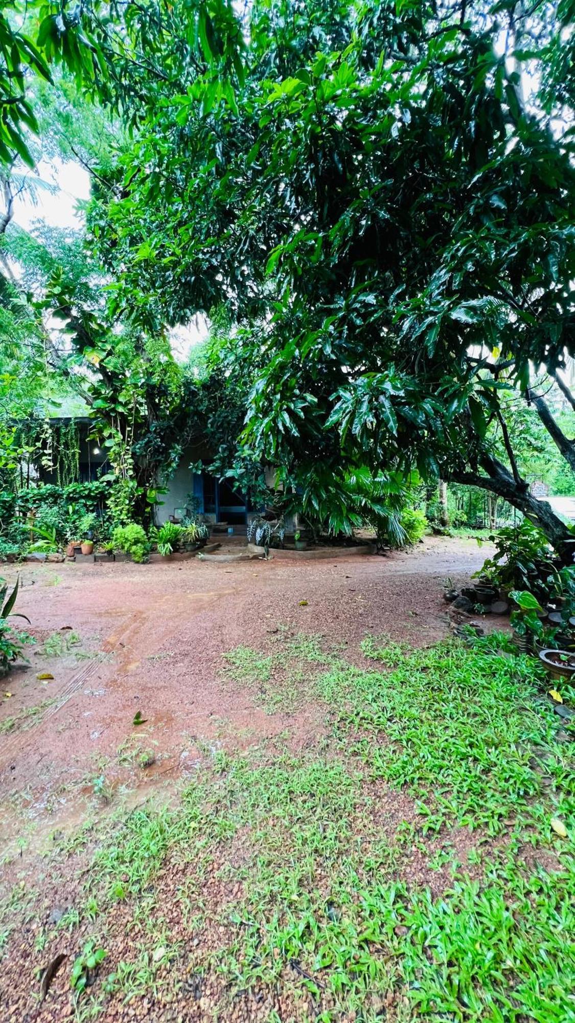 Kataragama Homestay Kültér fotó