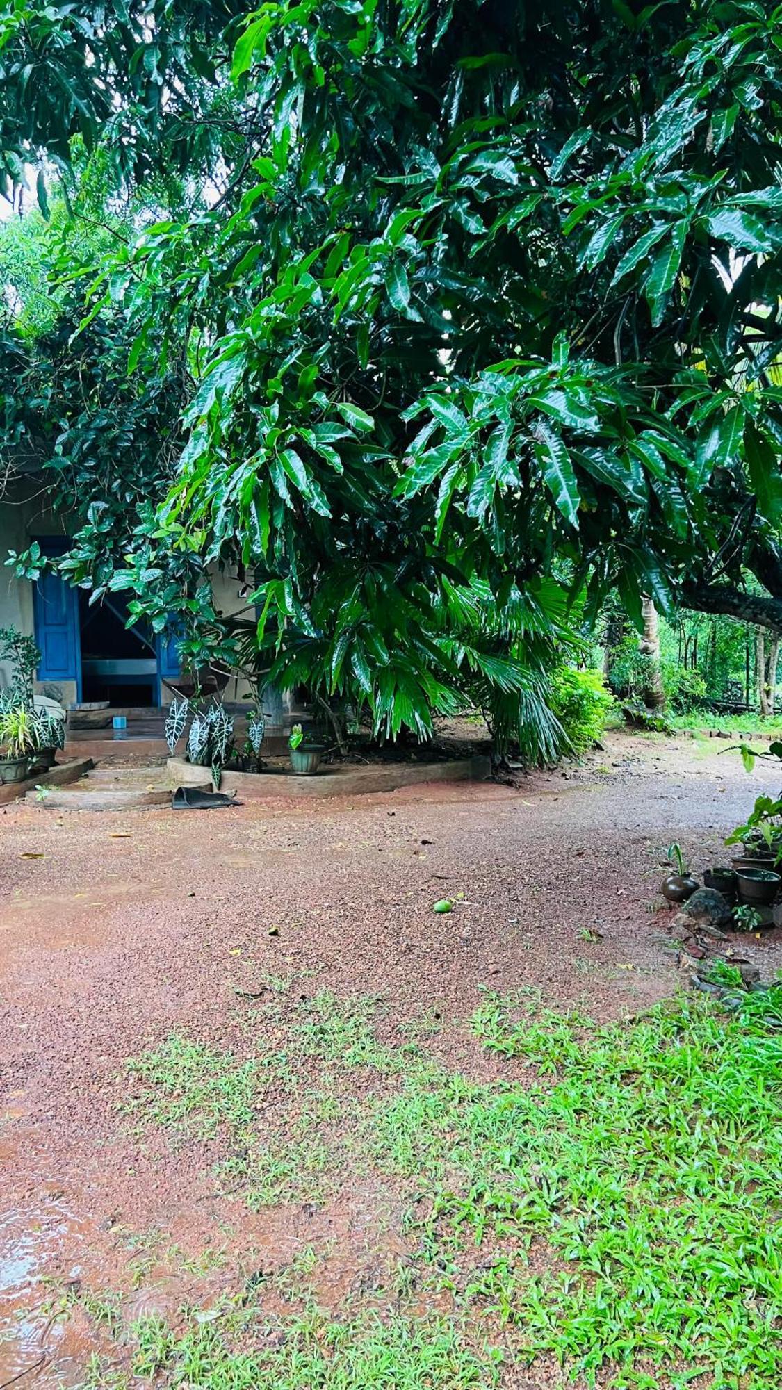 Kataragama Homestay Kültér fotó
