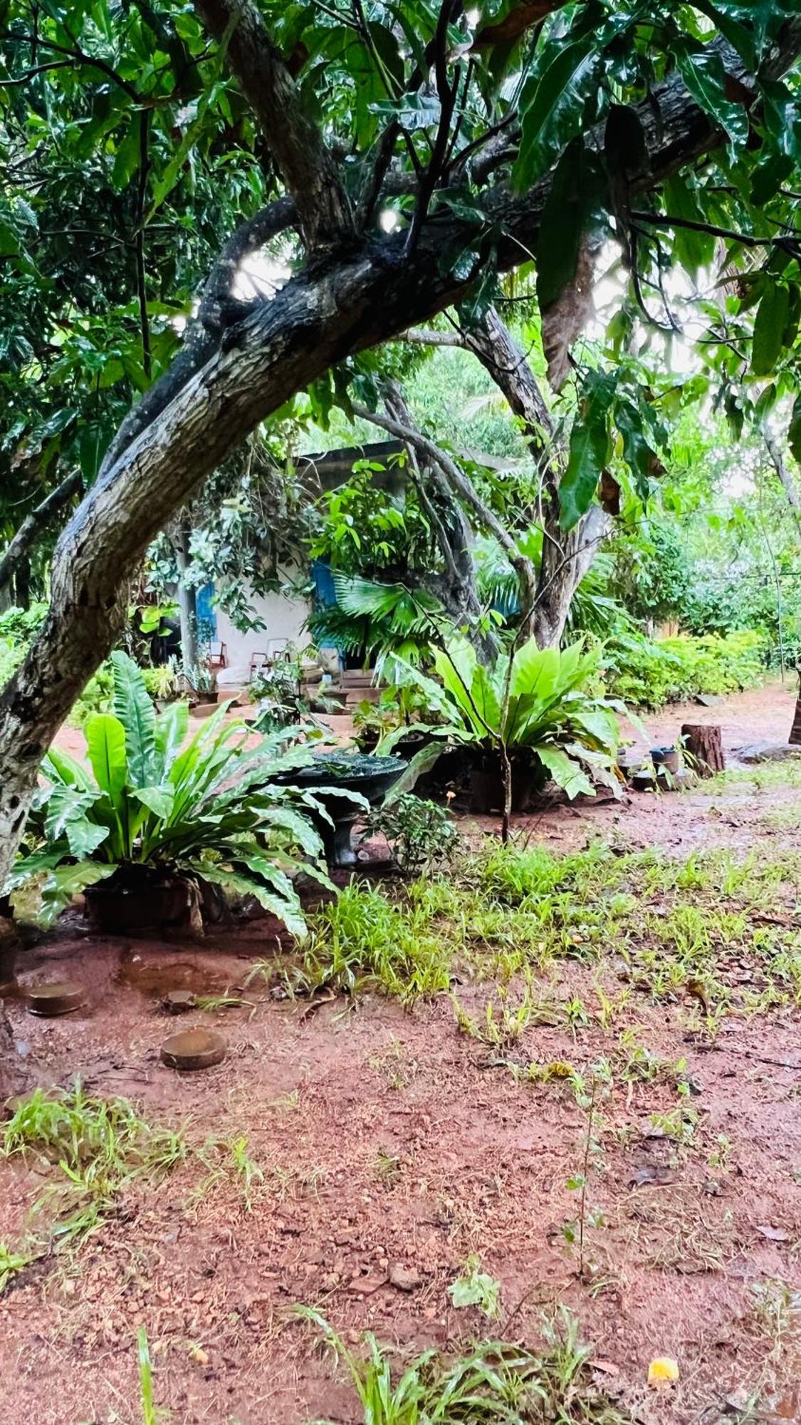 Kataragama Homestay Kültér fotó