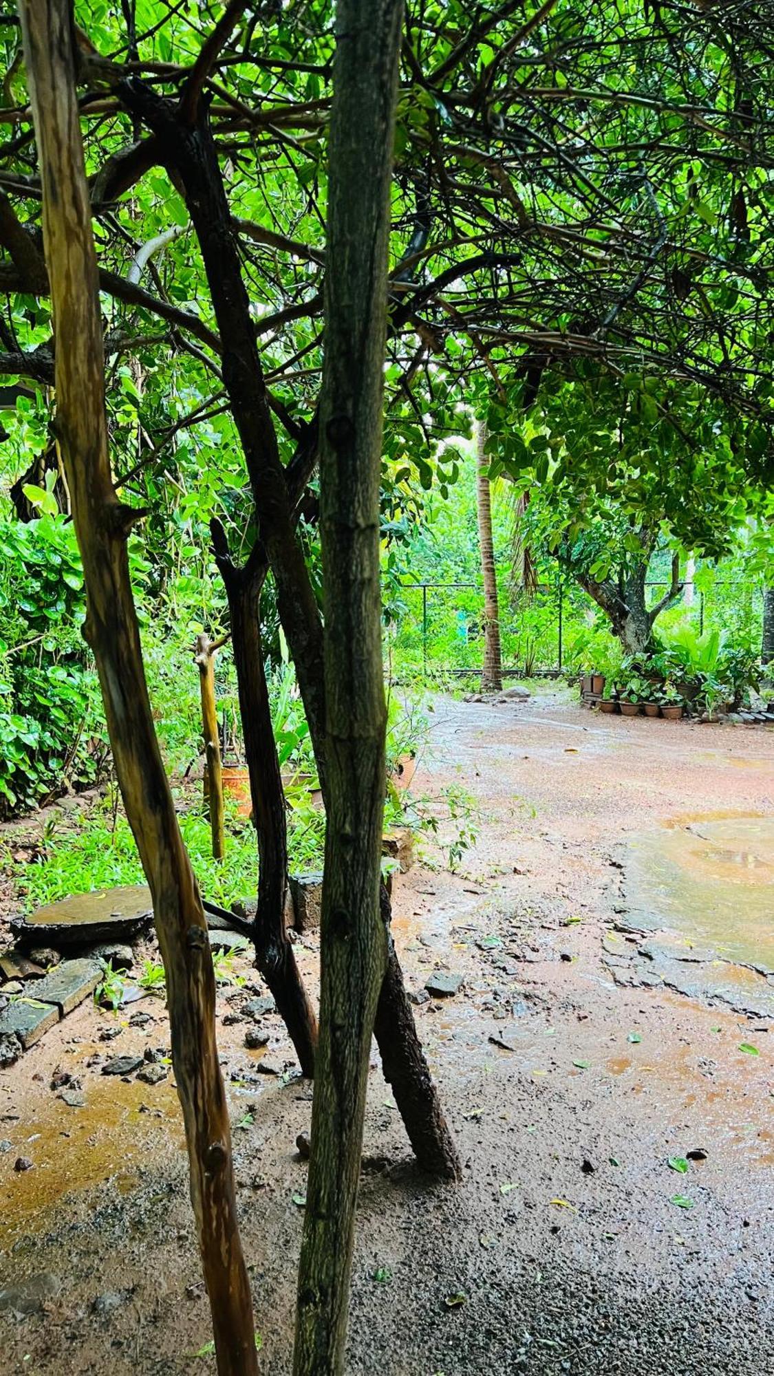 Kataragama Homestay Kültér fotó